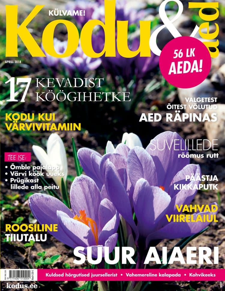 KODU&AED APRILL