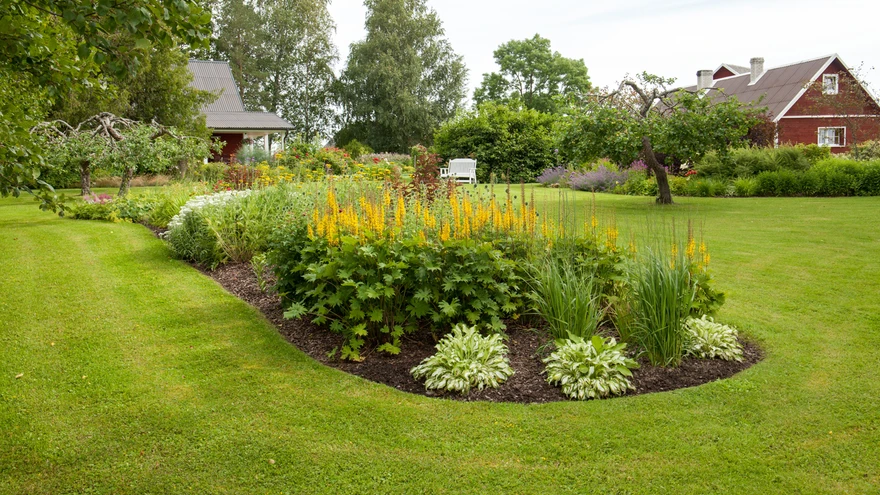 Tihe ühtlane muru, perfektselt pügatud hekid.