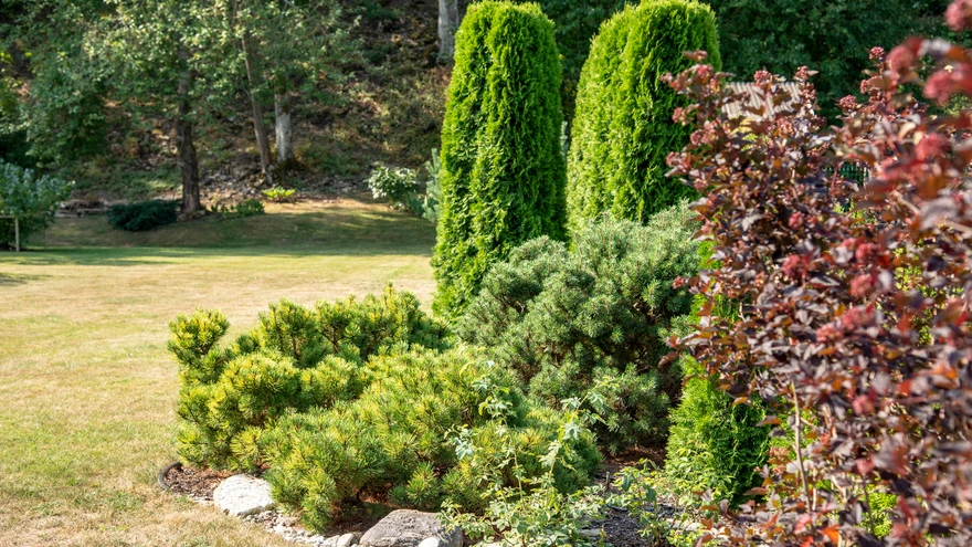 Vaikne looduskaunis koht, aia tagumine ots piirneb Harku paekaldaga. "Kodu Kauniks 2018" finalist.