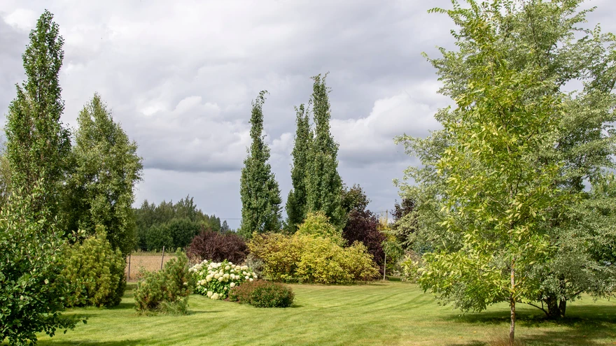 Ükskõik mis suunas ka ei vaataks, naudib silm täpselt paika timmitud kauneid vaateid. 