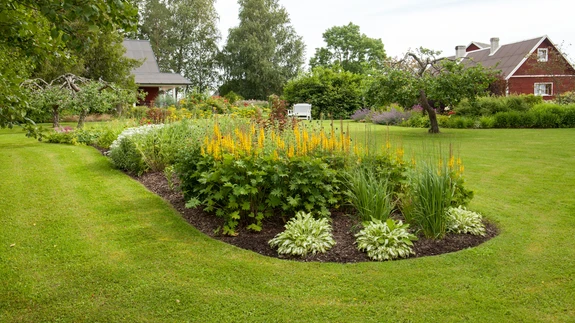 Tihe ühtlane muru, perfektselt pügatud hekid.