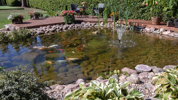 Paarikümne meetri pikkune vetemäng Kurepalus.