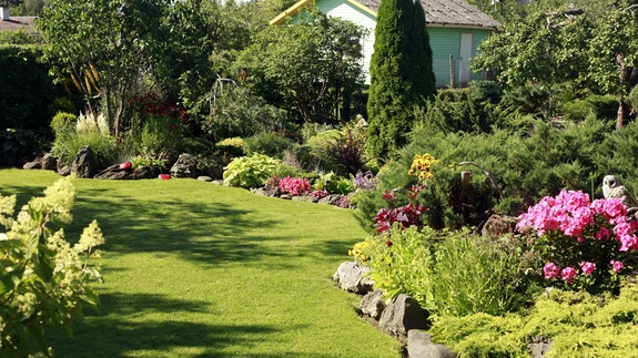 Aastate jooksul on aia perenaine istutanud nõlvadele kümneid liike ja sorte püsililli, kõrrelisi ning madalaid leht- ja okaspõõsaid.