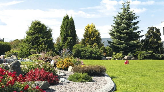 agedale krundile loodi kiirelt varju pakkuv ja vaheldusrikas roheline piire suurte okaspuudega, mis tänu hoolsale ja asjatundlikule perenaisele elasid kenasti üle ümberistutuse vanast koduaiast