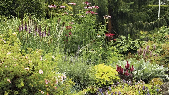 Legendaarse aia oma hoolde võtnud Monika Kannelmäe on selle kasvamist kõrvalt näinud ja soovib tuua siia taas rohkem õite värvimängu.