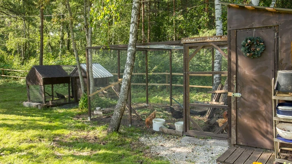 „Kodu kauniks 2022” finalist.