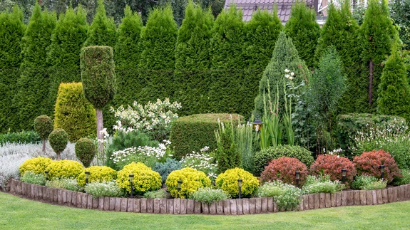 Suur kiviktaimla rõõmustab silma kevadest sügiseni. Kevadel õitsevad siin padjandtaimed ja tulbid, seejärel toovad värvirõõmu suvelilled, püsikud ja roosid, mille vahel hõljuvad kõrreliste puhmikud.