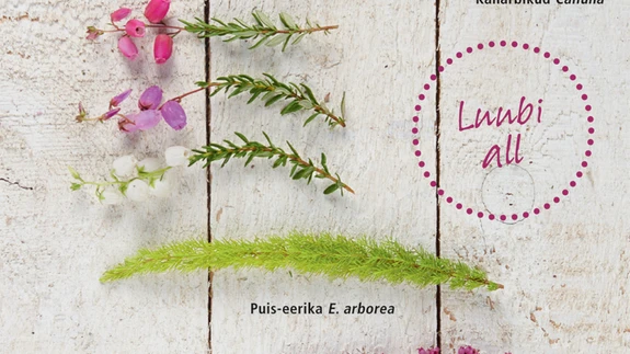 Kanarbikud ja eerikad elavdavad jaheda aja taimevaase.