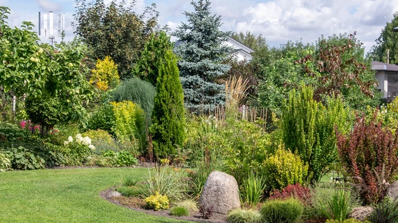 1340 m2 suurune isikupärase kujundusega liigirikas aed, mis on „valgunud” ka krundilt välja tänavaäärsele alale.