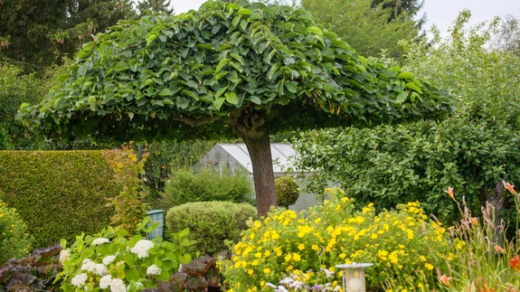 Aed Illurma külas Harjumaal. „Kodu kauniks 2019” finalist.