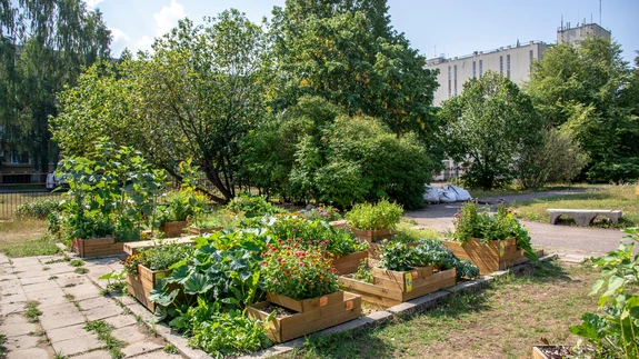 Kunagise lasteaia territooriumile rajatud kogukonnaaed.