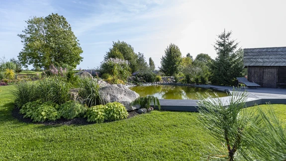 Veesilma ümbritsevad taimed on istutatud väikesele vallile, mis veelgi rõhutab veepeegli ilu.