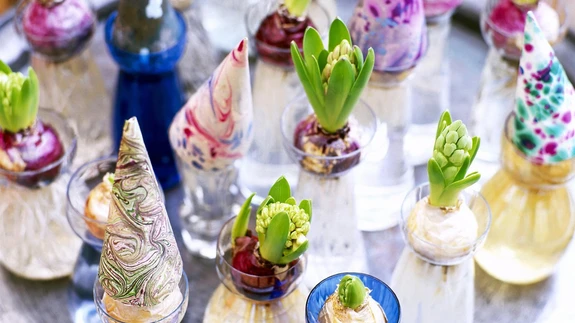 Kui see kandikutäis läheb õide...