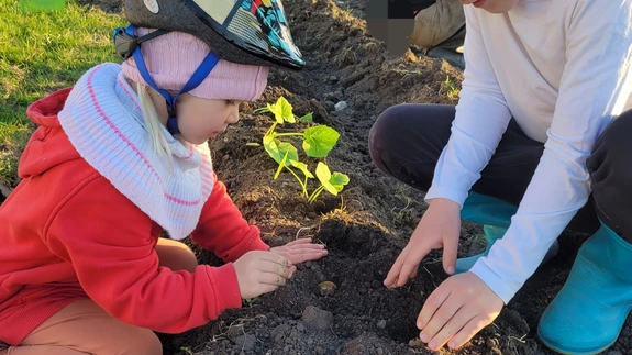 Rahakasvatamine on nagu külvamine: Paned maha ühe kartuli, kastad ja rohid terve suve ja saad potitäie mugulaid! Sama kehtib pangakontol, näitlikustas Heli oma lastele.