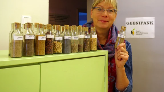 Eesti Taimekasvatuse Instituudi geenipanga juhataja Küll Annamaa.