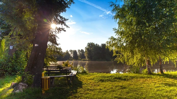 AIAMÄRKASÕNAD AUGUSTIS: lihtsad aiatööd, millega aega kokku hoida, mis seemneid korjata ja kuidas nõgeseleotist teha.