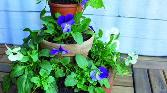 Olemasolevate eri kuju ja suurusega taimepottidega saad luua pilkupüüdvaid kõrguvaid skulptuure.