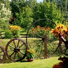 Kobarpeade, päevakübarate ja päevaliiliate leekivaid värve täiendavad vankrirattad on pärit peremehe vanematekodust Ulvilt nagu ka majapidamises leiduvad loorehad ja niidumasinad.