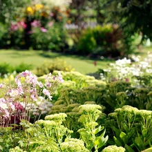 Kukeharjade sordid võimaldavad kombineerida vahvate värvilaikudega