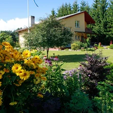 Särav päikesesilm ja lursslill kordavad kontraste, mis esinevad juba majaesisel jalgteel rebasesabade ja virsikukollase maja vahel.