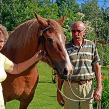 Helle ja Mati Vaheri koduaed aiatraktorit ei vaja.