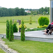 avatud maastik, tamra