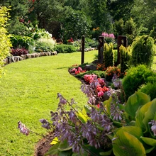 kodu kauniks 2017, aasta aed