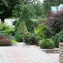 Läbimõeldud valikud Astmeliselt mere suunas langev terrass on kujundatud peamiselt igihaljaste taimedega, piirdudes materjalivalikul paari põhilise ning omavahel sobiva tooniga.