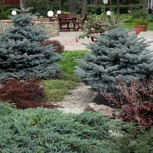 Kuurordimeeleolu Istumisnurka terrassil valgustavad õhtuti lihtsa vormiga, mahedat valgust andvad klassikalised aialambid.