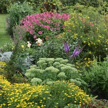 Suurtes lillepeenardes jagub vaatamist igal aastaajal. Kevadel on siin arvukalt ka sibullilli.