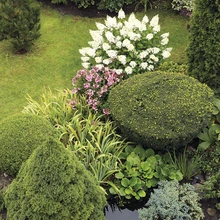 Konkursil Kodu kauniks 2014 pälvis aasta aia tiitli ja 2500 eurot Bauhofilt Vaike-Aino Smirnovi ja Kristi Smirnoffi kaunilt ning otstarbekalt kujundatud liigirikas koduaed Tallinnas Pirita-Kosel.