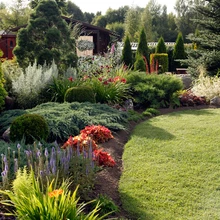 Kuigi aia rajamisel ei ole koostatud istutusala ega taimestuse plaani, näib kõik paigas olevat nagu ühel korralikul maalil.