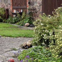 Lopsakas haljastus ankurdab väärikad hooned vääriliselt maastikku. Esiplaanil vastupidavad põõsasmaranad.