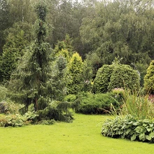 Aed on kõige aeglasem kunstiliik, tõdevad kujundajad.