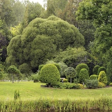 Aed on kõige aeglasem kunstiliik, tõdevad kujundajad.