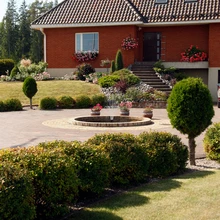 Eesaia tasapinnad mõõdeti ise paika ja rehitseti siledaks. Kerajad elupuud lõigatakse aastas kord-kaks tagasi.