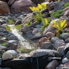 Üles mäkke pumbatud vesi voolab vulinal väikeste koskedena taas alla. Oja põhi on kindlustatud koormakilega, kaldad erineva suurusega kividega. Kivide vahel laienevad taimed: osjad, sõnajalad, kannikesed.