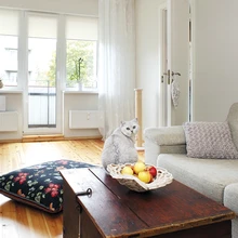 Sõbrad ja tuttavad arvavad, et küllap mängis valge kass sisekujunduse valikul ka oma rolli. Tegelikult on valge eri varjundid mõlema eelistuste seas, naeravad Arti ja Rebeka.