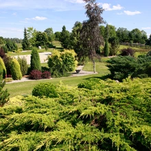 kodu kauniks 2017, maastikukujundus