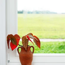 kodu kauniks 2017, vannituba